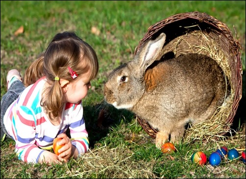 I-Love-So-Much-Spring-and-Easter-spring-wallpaper