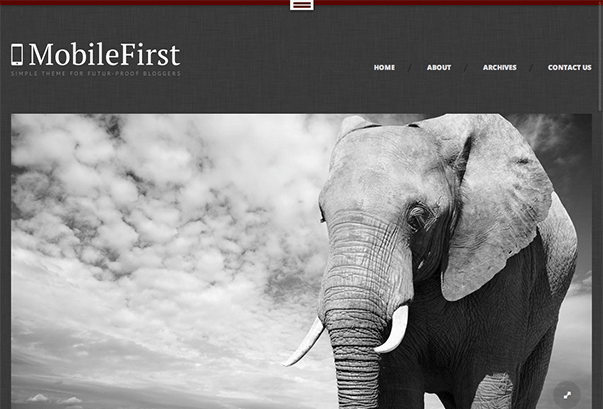 MobileFirst WordPress Theme