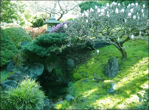 Nice-Japanese-Garden-in-Spring-spring-wallpaper