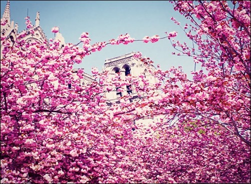 Spring-in-Paris-spring-wallpaper