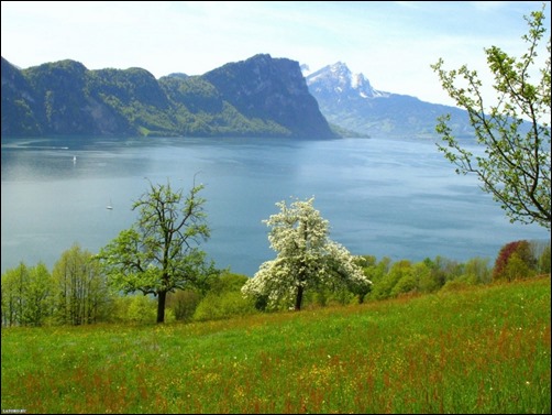 Spring-in-Switzerland-spring-wallpaper