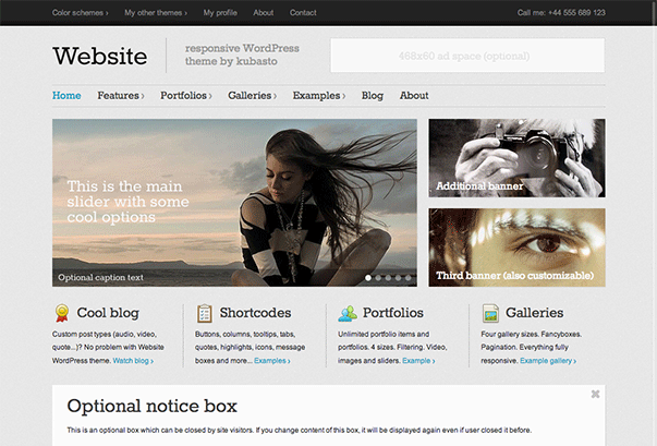 Website WordPress Theme