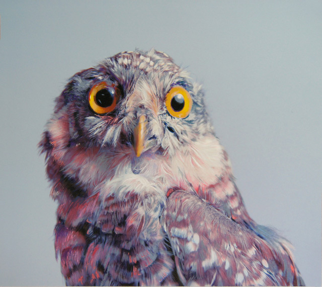 The Colorful Photorealistic Owls of John Pusateri