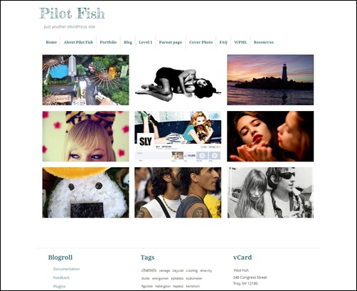 pilot-fish-portfolio-theme