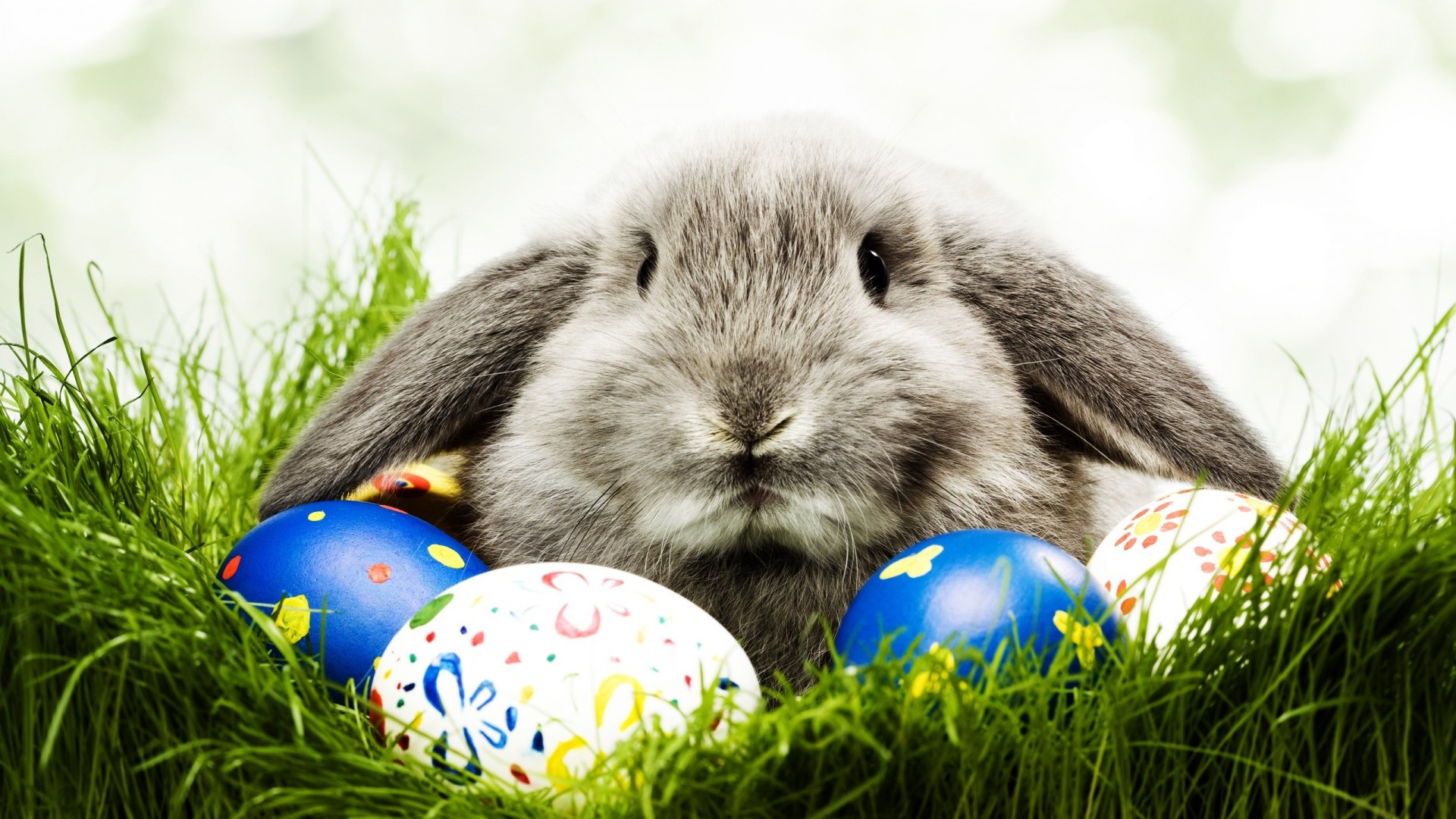 Easter-Bunny-2-easter-wallpaper