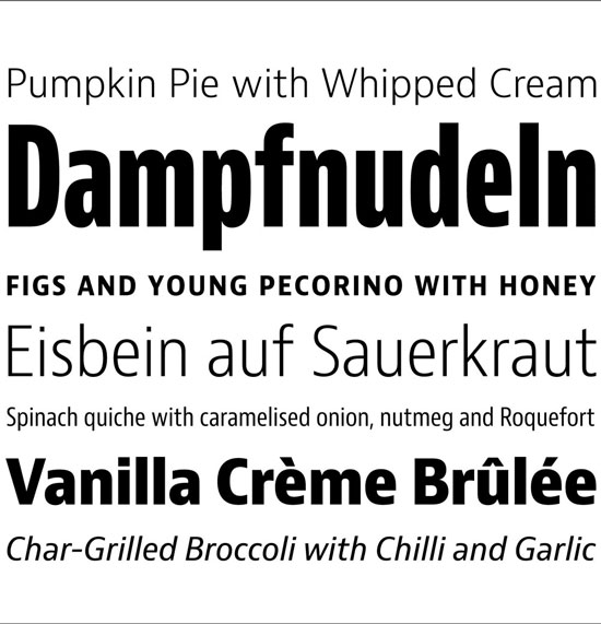 Bernini Sans Premium Font