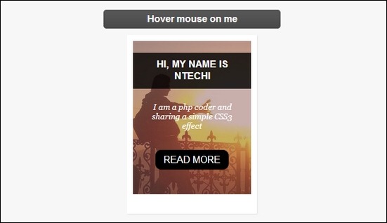css3-image-hover-effects-with-caption.
