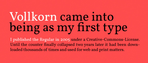 2. google web font