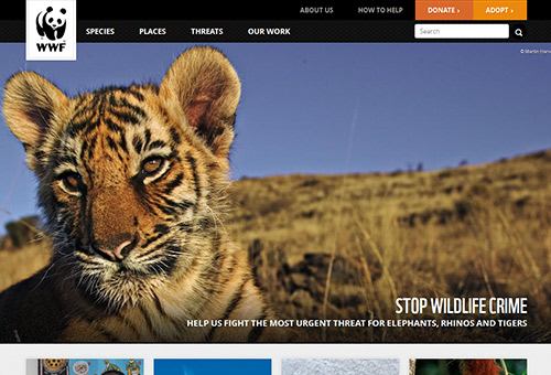 instantShift - The World Wildlife Fund