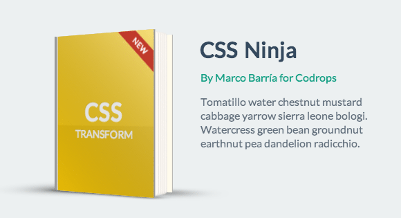 Animated Books with CSS 3D Transforms