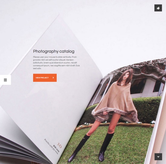 Flat-WordPress-Themes-1