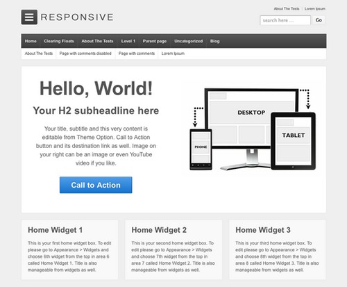 Responsive WordPress Theme