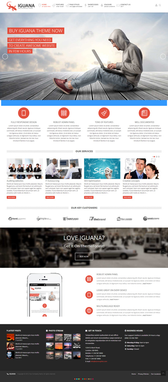 Iguana - Responsive Multi-Purpose WordPress Theme
