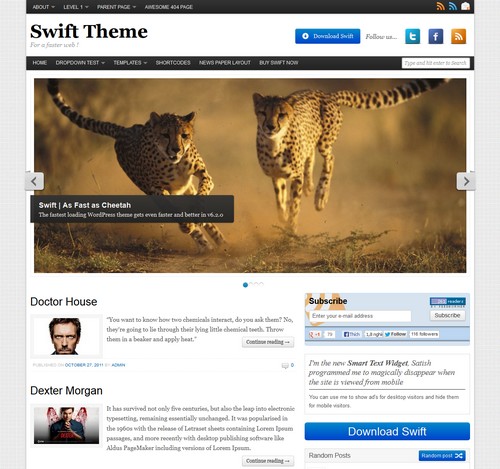 Swift Basic WP Free Theme