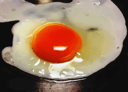 Create a Photo-Realistic Fried Egg Using Digital Painting Techniques
