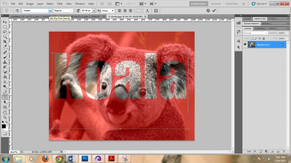 typography-tutorial-koalatype