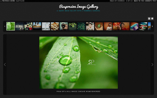 Responsive Image Gallery With Thumbnail Carousel