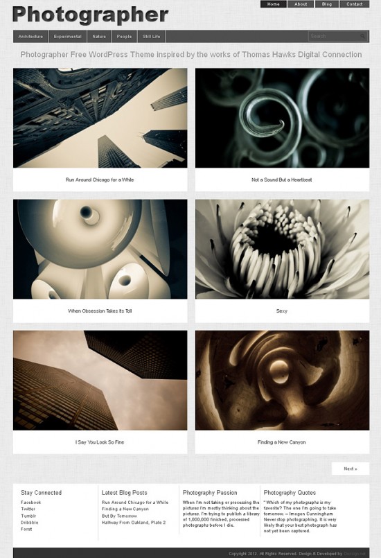 portfolio-wordpress-themes-019