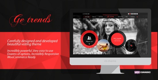 portfolio-wordpress-themes-003