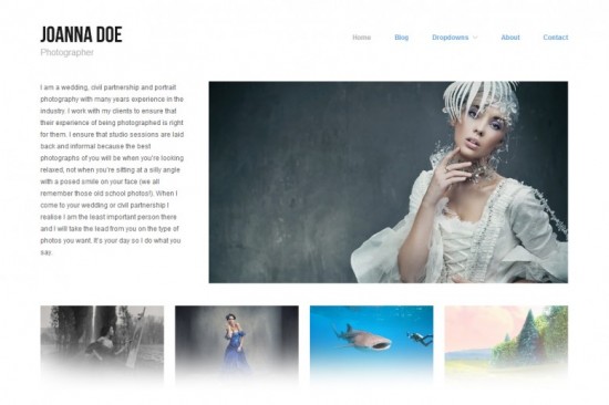 portfolio-wordpress-themes-010