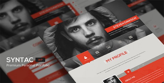 portfolio-wordpress-themes-007