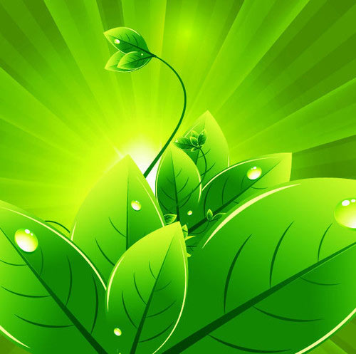 Vector Background with Green Leaves