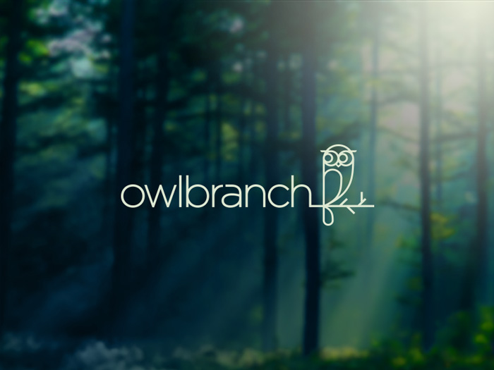 Owlbranch Logo Design 