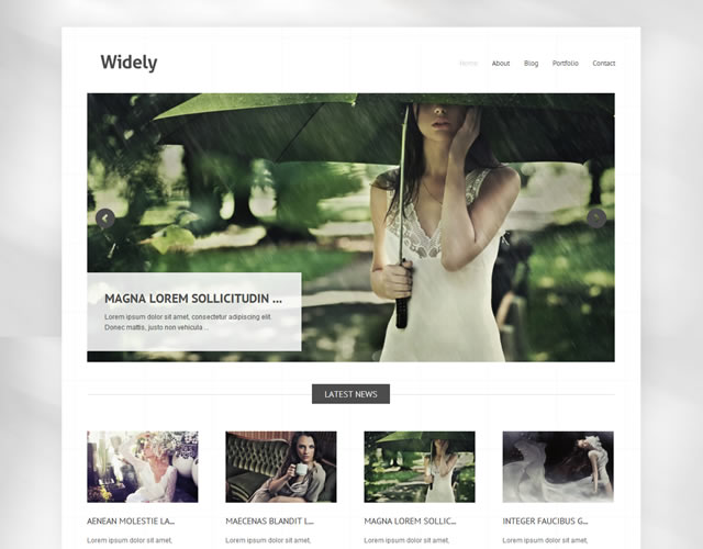 Widely Minimalist WordPress Theme