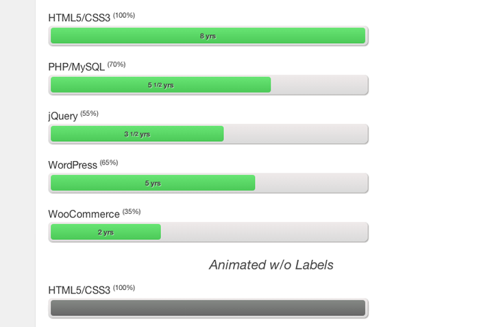 tutorial screenshot css3 keyframes animated skill bars