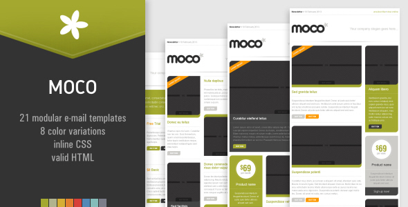 MOCO Effective Newsletter Template