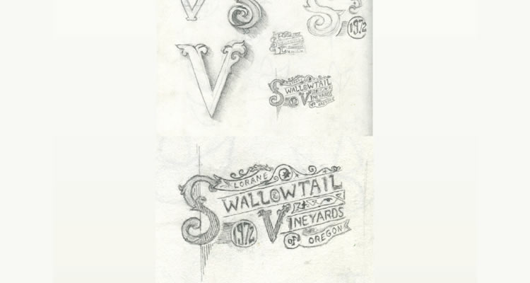 Swallowtail Vineyards Logo logo design sketch process branding