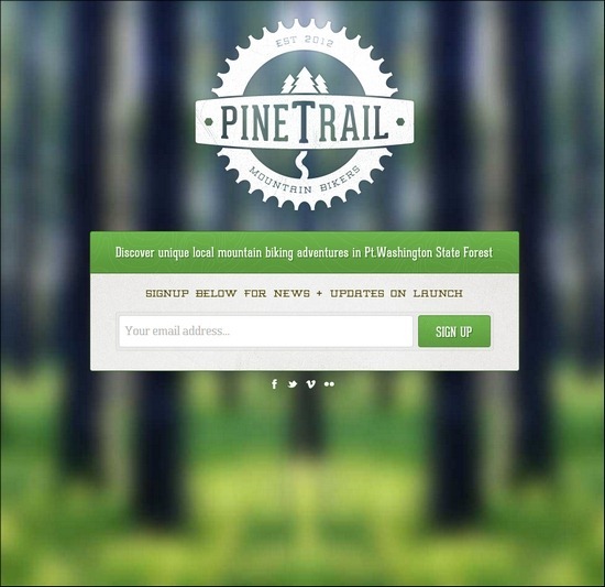 pine-trail-MTB