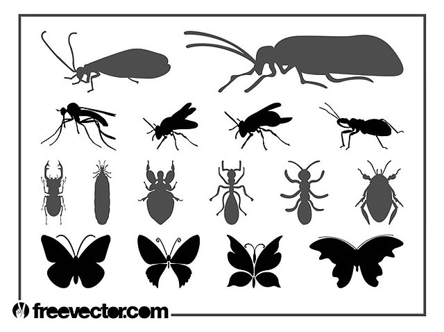 Insects Graphics Set fresh best free vector packs kits