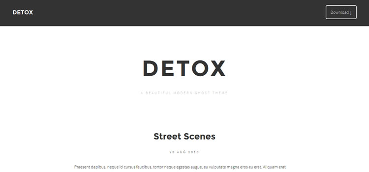 Detox html css Responsive template web-design free