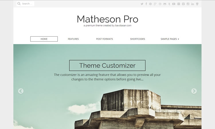 Business new free responsive WordPress themes Matheson