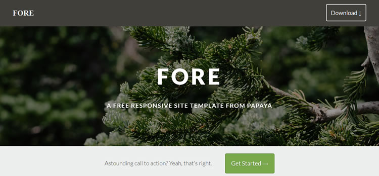 Fore css responsive HTML templates web-design free