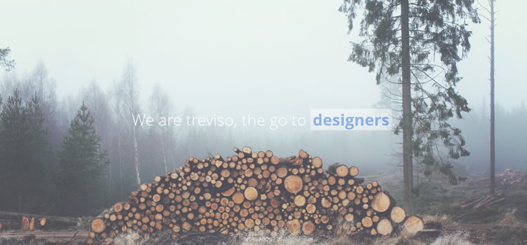 Treviso html css Responsive template web-design free