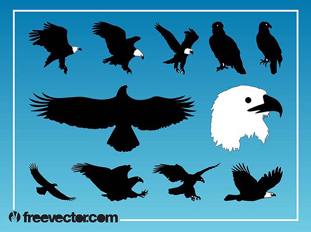 Eagles Vector Graphics for Memorial Day fresh best free vector packs kits