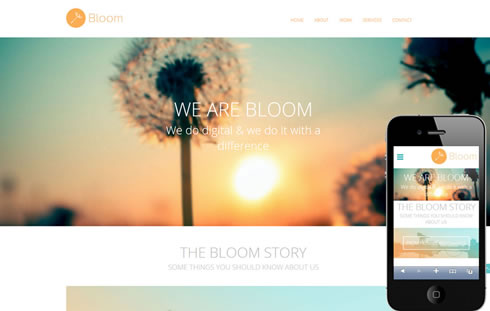 20+ Free Responsive Templates for you to Try