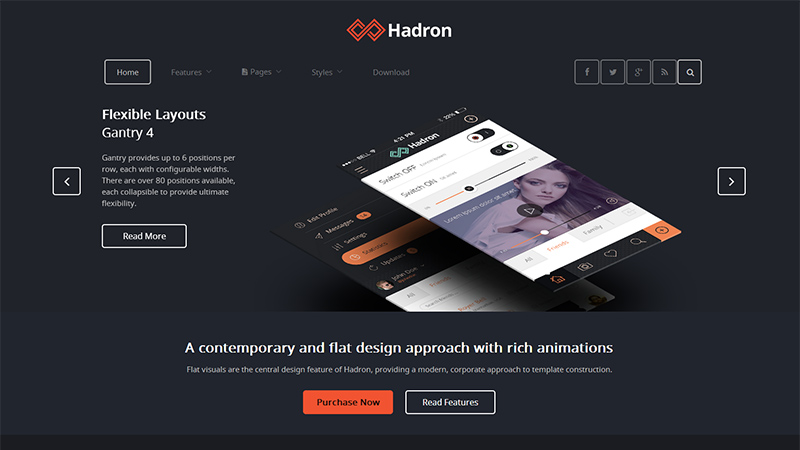 Hadron