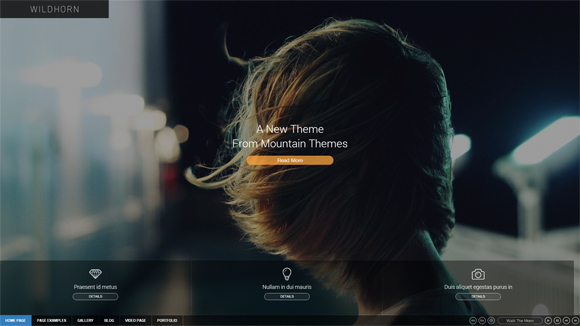 30 Premium WordPress Themes with Fullscreen Sliders