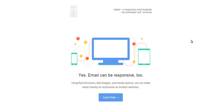 responsive Salted email template free barebones