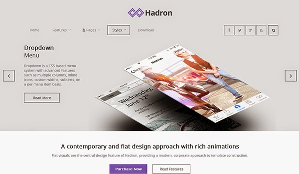 Hadron