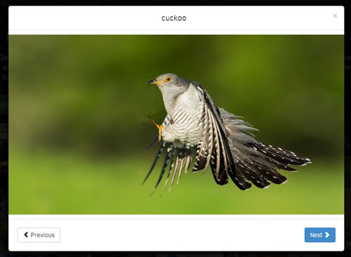 Bootstrap Image Gallery