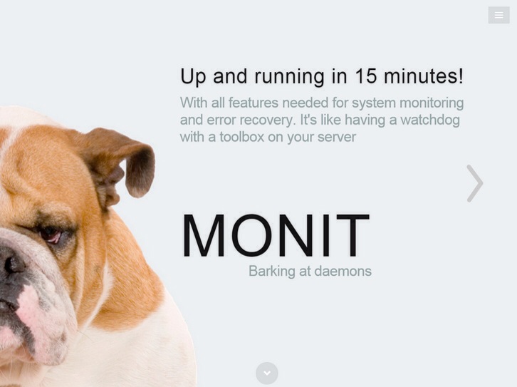 Manage and Monitor Unix Systems with Monit