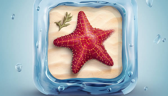 3d textured starfish water icon