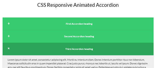 CSS Responsive Animated According