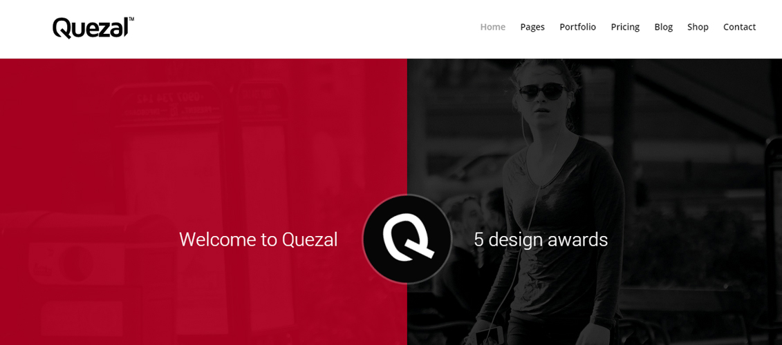 Quezal Software Responsive WordPress Theme