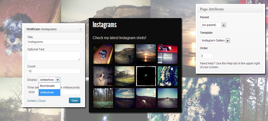 Integrate Images from Your Instagram Feed to Your WordPress Site