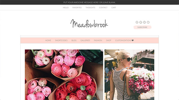 Meadowbrook - Modern WordPress Theme